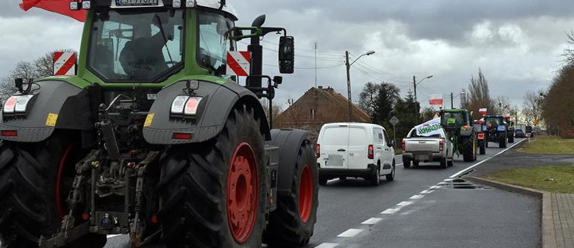 Znaki zapytania wokół umowy z Mercosur