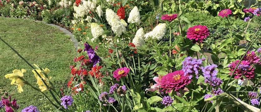 Cały Szczecin w kwiatach. Dziś ostatni dzień zgłoszeń