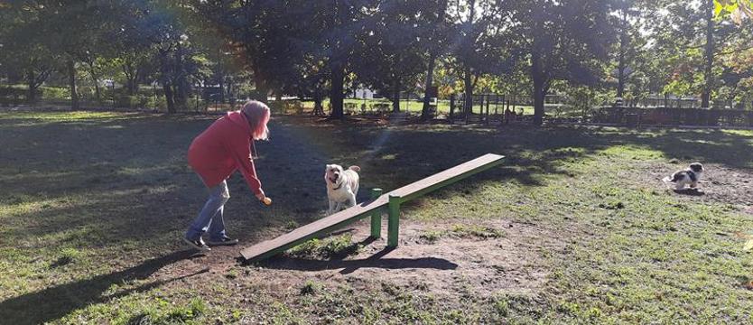Jedenaście pomysłów mieszkańców Polic.  Można już wybierać, które do realizacji