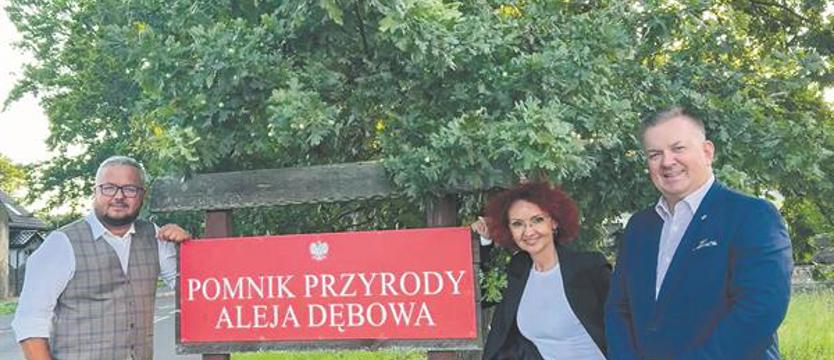 Pielęgnacja ma ocalić najstarsze drzewa