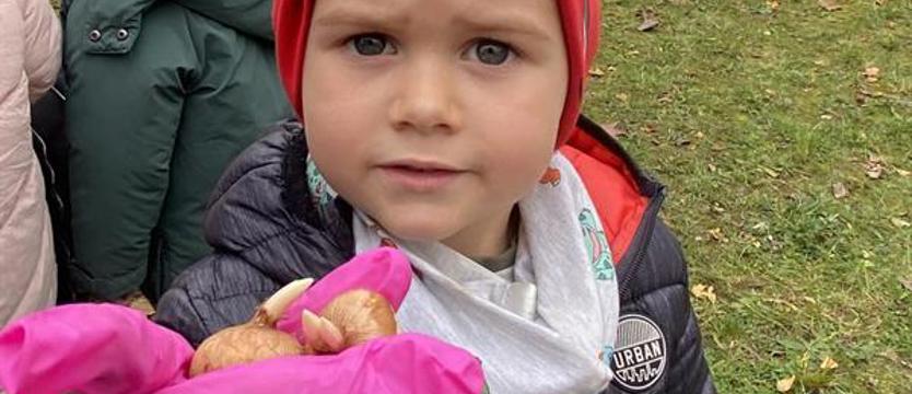 Oby do słodkiej wiosny. Jak Tygryski z Wiewiórkami sadziły krokusy