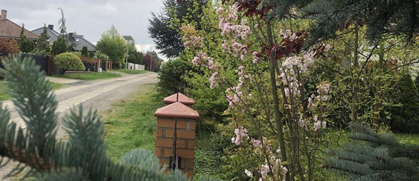 Niedziela na zielonym szlaku. Spacer uliczkami Bezrzecza