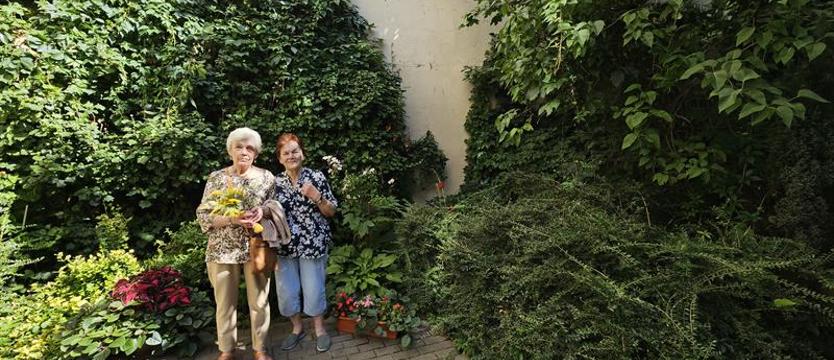 Tam, gdzie stały „Koguciki”