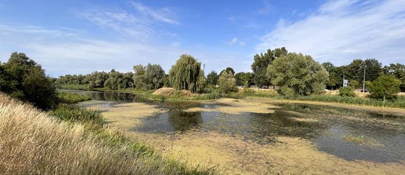 Słoneczna zieleń i skarby „Przygodnej". Rusz w trasę z przewodnikiem