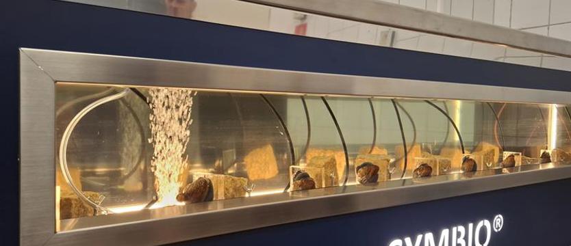 Owocna współpraca z małżami