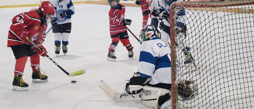 Hokej. Piranie z Rostocku najgroźniejsze...