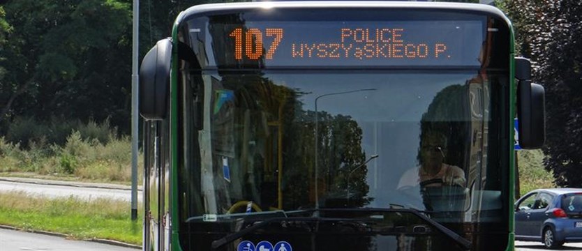 Problem jakości podróży związany z SKM w relacji Szczecin – Police