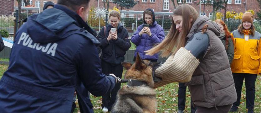 Psy bronią, wykrywają narkotyki, ścigają przestępców... Pokazały, co potrafią