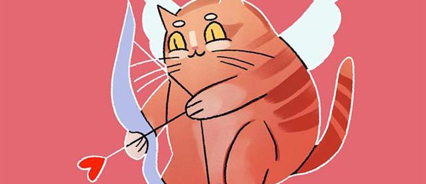 Walentynki na cztery łapy