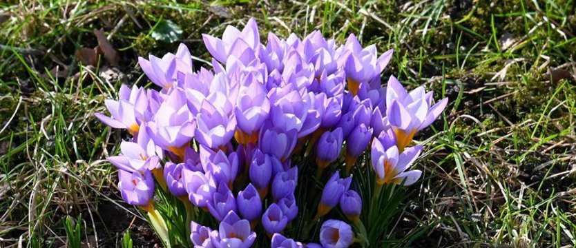 Ekspert: wyjątkowo ciepły luty nie jest zwykłą anomalią