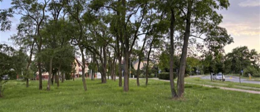 Kolejna fontanna w Szczecinie. Nowy pomysł na skwer w Kijewie