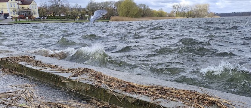 Wietrzny drugi dzień Wielkanocy w Nowogardzie