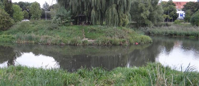 Od Słonecznego po Przygodną. Niedziela na zielonej trasie