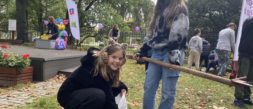 Krokusy? Do dzieła!