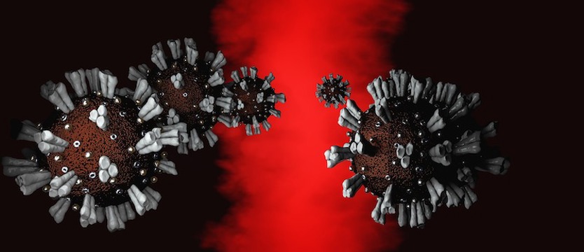 Kolejny rekord V fali epidemii. Prawie 33 tys. przypadków koronawirusa