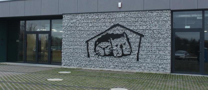 Schronisko dla zwierząt apeluje: Nie porzucaj w wakacje!