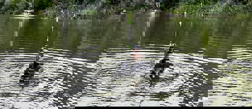 Nie udało się odnaleźć "Czapli"