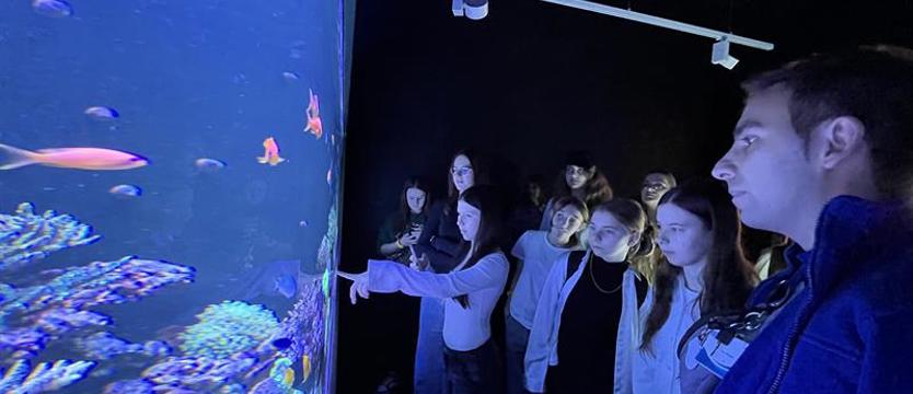 Finaliści i uroczysta gala 