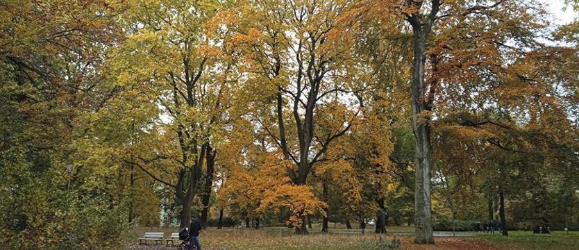 Nowa energia dla „Żeromskiego”