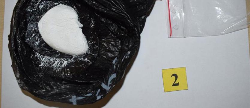 Blisko 50 gramów amfetaminy w plecaku pasażera