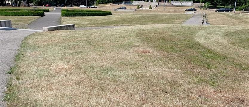 Reprezentacyjne miejskie… ścierniska