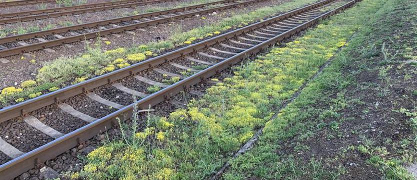 Prokuratura informuje o szczegółach tragedii pod Stargardem