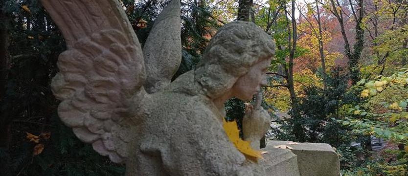 Wszystkich Świętych – korzenie i tradycje