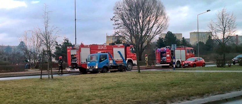 Pożar altanki w Szczecinie, nie żyje jedna osoba