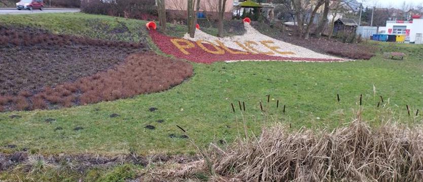 Takie pomysły zgłosili mieszkańcy Polic. Jak zagospodarują milion?