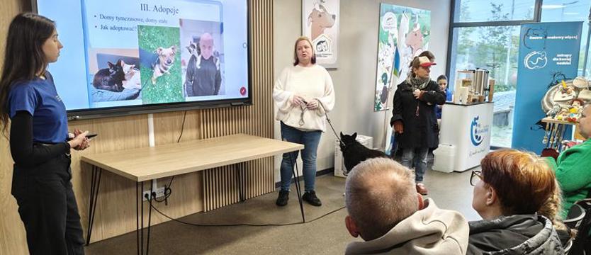 Humanizm i edukacja – warsztaty w schronisku