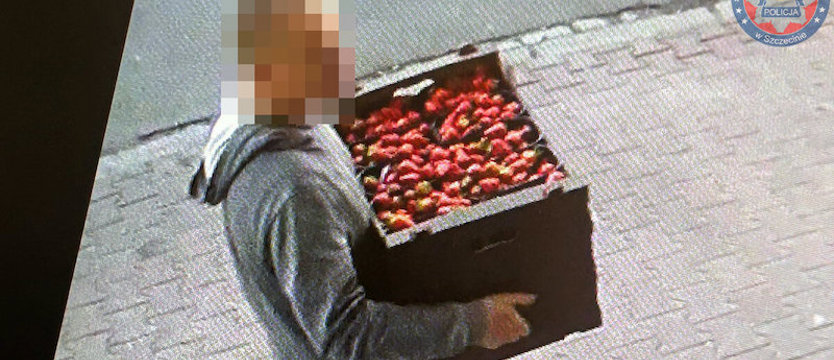 Remont czy demolka? Jeden ze sprawców okazał się złodziejem truskawek