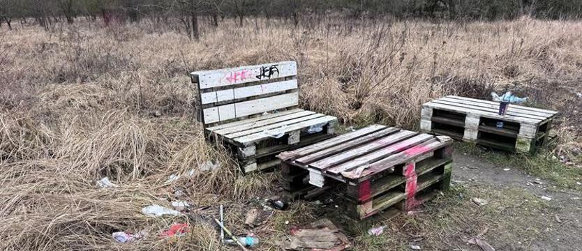 Co z obiecaną szkołą i parkiem na Gumieńcach?