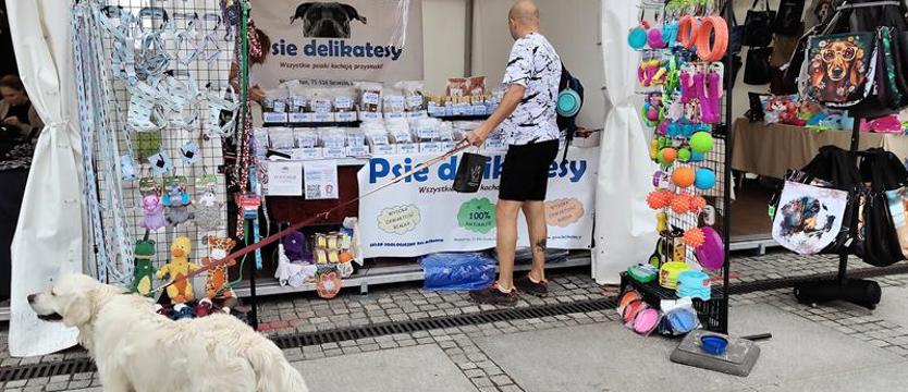 Psiaki na kociaki. Psi Targ w Galerii Handlowej Turzyn