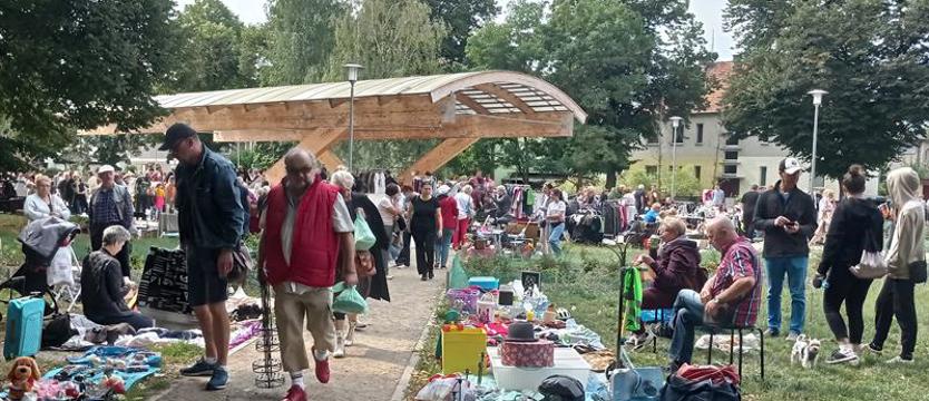 Pogodno na niedzielę. W poszukiwaniu skarbów