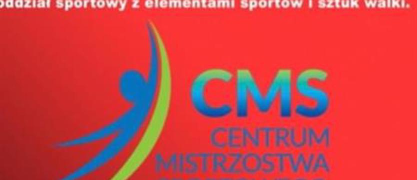 Sporty walki. Propozycja dla czwartoklasistów