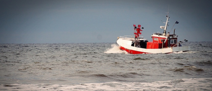 UE: nowe kwoty połowowe na Bałtyku na 2025 r. "Dla Polski to wygrana"