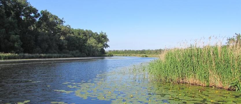 Świątobliwi oszuści w potrzasku, a gdzie głowa tego fałszywego kościoła?