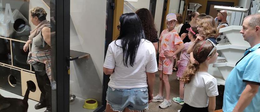 Adoptuj, nie kupuj! W schronisku: humanizm i edukacja