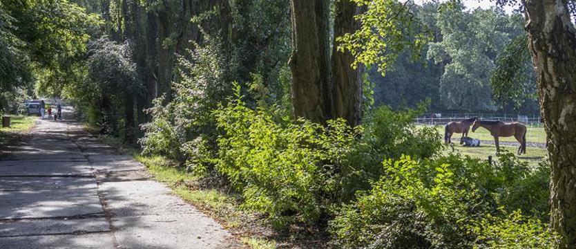 Będą ławki przy Junackiej