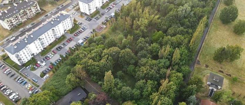 „Przygodna” z pozwoleniem na budowę