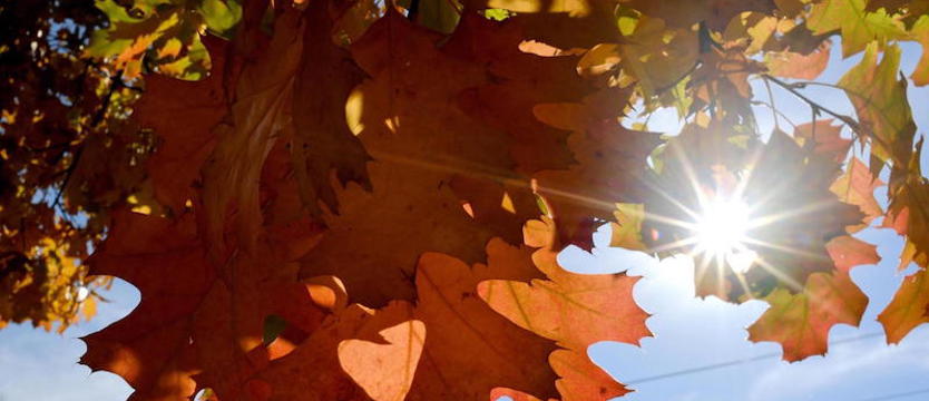 Tegoroczny wrzesień jest cały czas najcieplejszy od ponad 100 lat