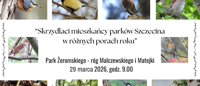 Spacer ornitologiczny. Skrzydlaci mieszkańcy Parku Żeromskiego
