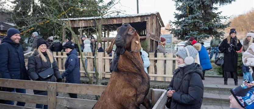 XII edycja Żywej Szopki w Żydowcach
