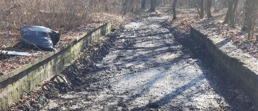 Lokalizacja nie jest przypadkowa 