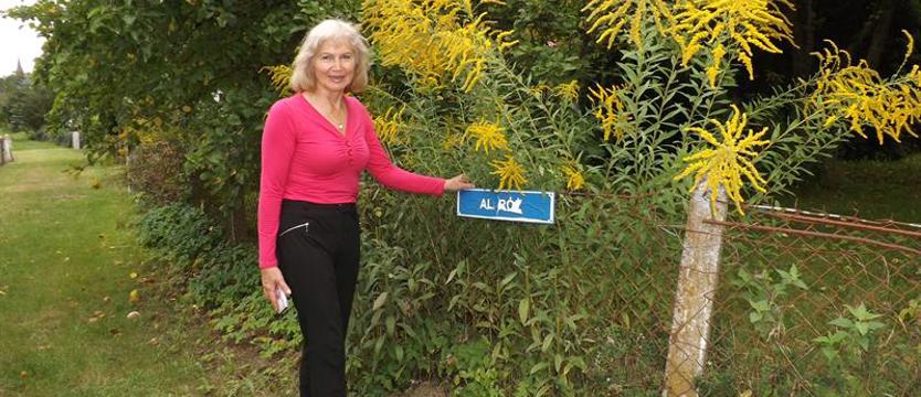 Cały Szczecin w kwiatach. Moją dumą jest różanecznik