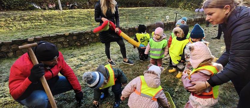 Krokusy i moc dobrej zabawy