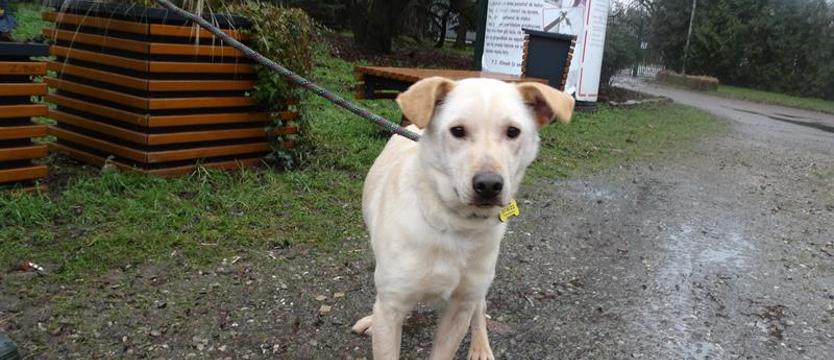 Weź mnie KURIEREM do domu. Imbir (nie tylko) na zimę