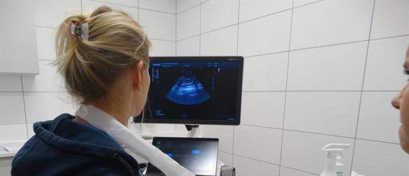 „USG dla schroniskowych ogonków” i nie tylko. Szczeciński Budżet Obywatelski wiele zmienia