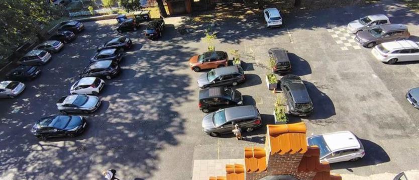 Odbetonowanie Pałacu Młodzieży. Zamiast parkingu – zielony dziedziniec
