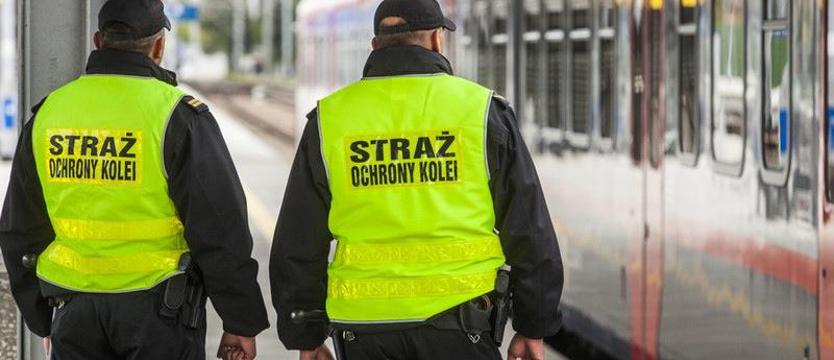 Zamiast do pociagu wsiadł do radiowozu